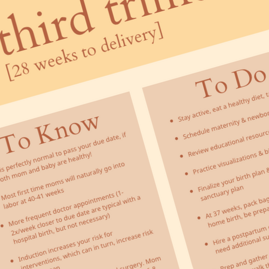 Trimester Bundle
